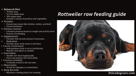 Rottweiler Feeding Guide Chart. How Much to Feed - Puppy to Adult - Petco Dog Care