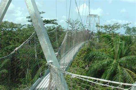 Top 10 Remarkable Facts about Lekki Conservation Centre, Lagos ...