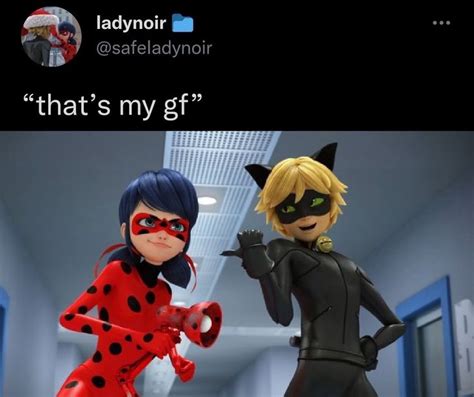 Pin on Quick Saves | Miraculous ladybug memes, Miraculous ladybug movie, Miraculous ladybug anime