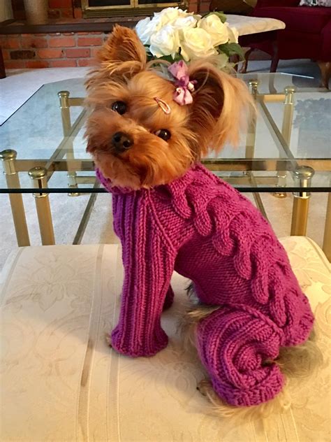 Knitted Dog Jumpsuit, Small Dogs Warm Winter Clothes, Dog Pom Pom Hat ...