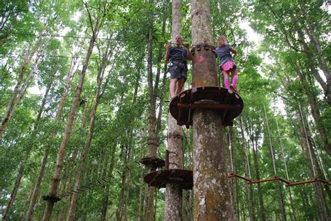 Bali Treetop Adventure – My Adventure Abroad