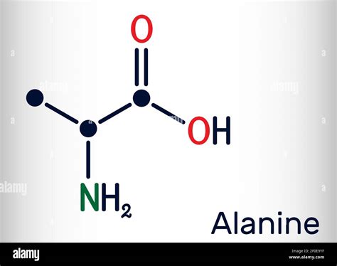 Alanine, L-alanine, Ala, A molecule. It is non-essential amino acid. Structural chemical formula ...