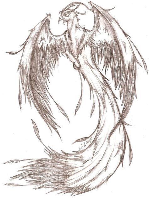 Phoenix - pencil Sketch by MaverickTears on deviantART | Phoenix ...