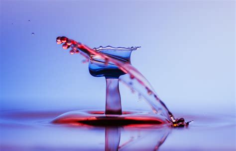 Water Drop Photography: from Idea to Results in Five Easy Steps