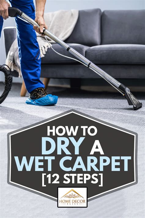 How To Dry A Wet Carpet [12 Steps]