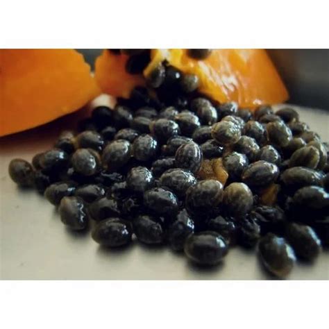 Papaya Seeds at Rs 2000/kilogram | Indra Market | New Delhi | ID: 14152742030