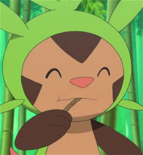 chespin is a cutie starter pokemon gif | WiffleGif