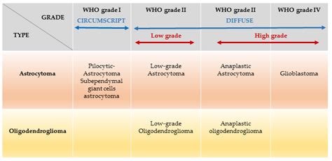 IJMS | Free Full-Text | Advances in Research of Adult Gliomas