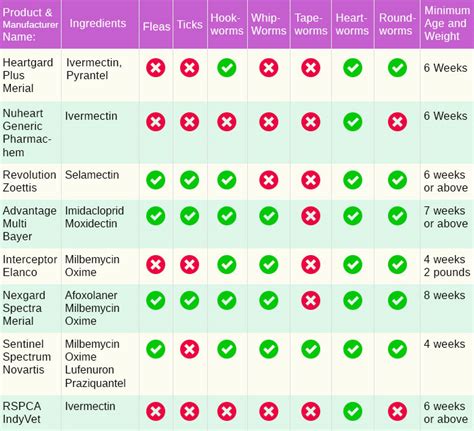 The Top 8 Heartworm Medications For Dogs: A Comparative List