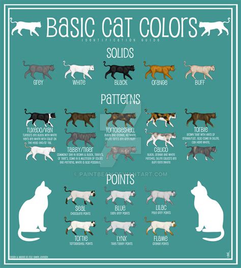 Cat Color Chart by paintbean on DeviantArt | Cat colors, Cat breeds chart, Cat breeds