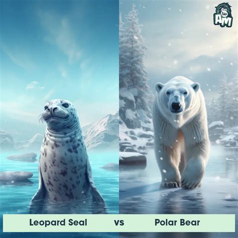 Polar Bear vs Great White Shark: See Who Wins | Animal Matchup