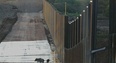 2,500 Scientists Warn Against the Border Wall's Huge Environmental Cost