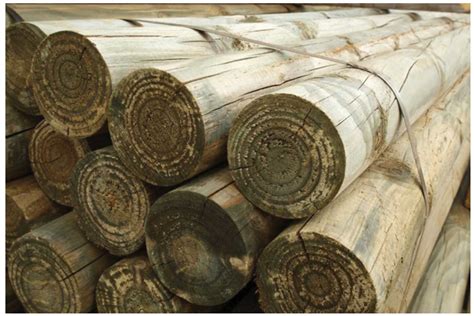 Round Poles - Stockport Timber