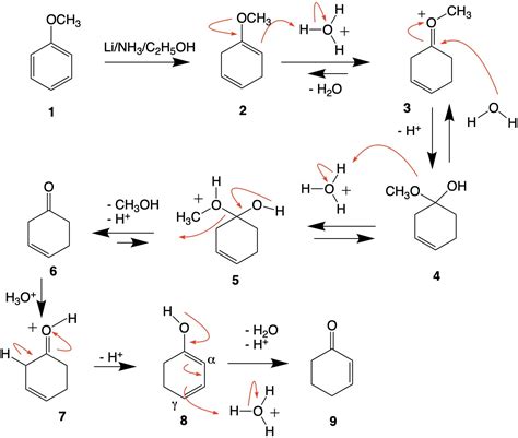 reaction mechanism - Acid hydrolysis of Birch-reduced Anisole - Chemistry Stack Exchange