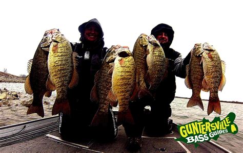 Lake Guntersville Fishing Report: Guntersville Bass Guides | Alabama Bass Trail Tournament Series