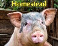 10 Pig breeds ideas | pig, pig farming, pig breeds