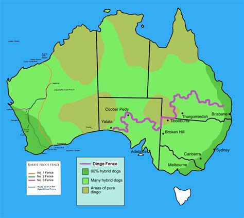 Route of the Dingo Fence and Rabbit Proof Fences of Australia [1800 x ...