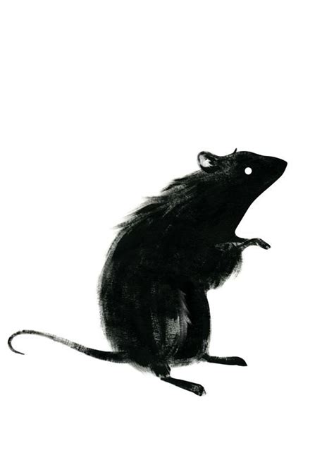 Image result for rat drawing | Rats, Animal art, Illustration art