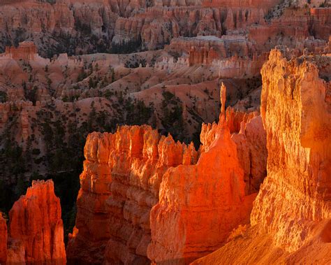 Bryce Canyon Sunrise Photograph by Steve Kaye - Fine Art America