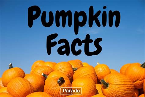 25 Fun Facts About Pumpkins - Parade