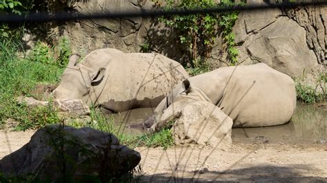 Indianapolis Zoo Pictures: View Photos & Images of Indianapolis Zoo