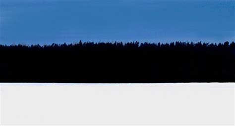 Estonian_flag_winter_forest.jpg (1098×591) | Estonia, Winter forest ...