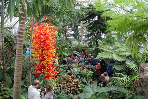 Butterflies to usher in spring at the Franklin Park Conservatory