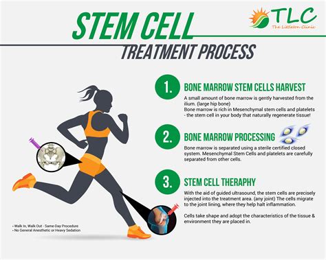 Stem Cells - TLC The Littleton Clinic