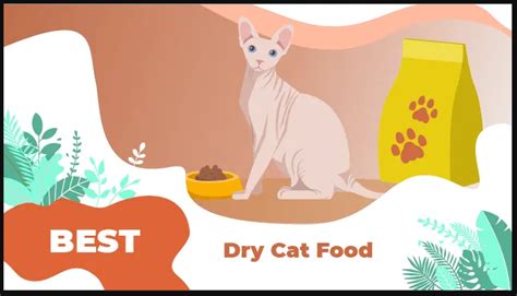 8 Best Dry Cat Foods to Buy in 2023 - Best Cat Foods Advisor