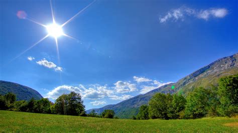 Wallpaper : Sun, light, beams, meadow, glade, summer, day 2560x1440 - wallup - 1062964 - HD ...