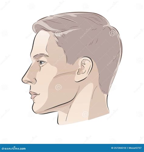 How To Draw A Male Face Side View