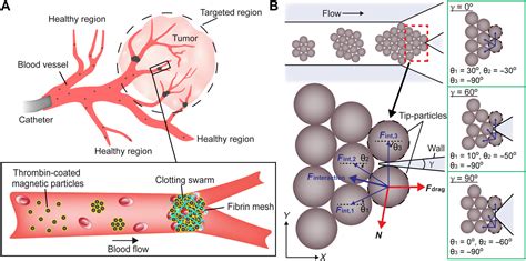 Microrobots in swarms for medical embolization