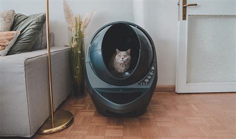 Explore Litter-Robot 3 Connect | Highest-Rated Automatic Litter Box