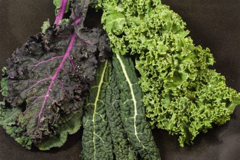 Kale Varieties » Wow! Too Many to Choose