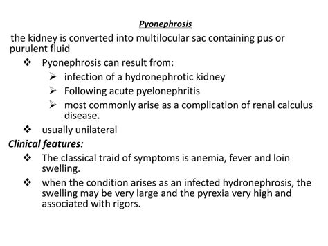 Kidney Infection الدكتور حارث محمد قنبر السعداوي - ppt download