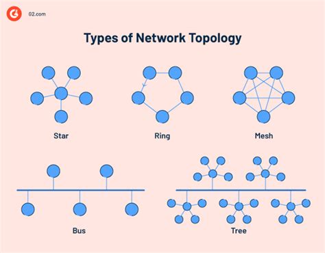 What Is Network Topology? Types, Diagrams, and Benefits