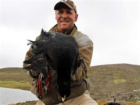 Ramsey Russell's GetDucks.com Journal: Peru Duck Hunting Is Breathtaking