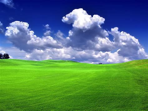 HD wallpaper: Beautiful greenland, white sky and green grass field, Nature | Wallpaper Flare