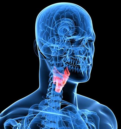 Spasmodic Dysphonia | UCI Head and Neck Surgery - UCI ENT Doctors - Otolaryngologists