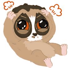 Tarsier GIFs | Tenor