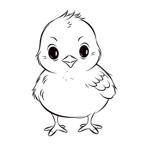 Drawing Of Cute Chick Coloring Pages Outline Sketch Vector, Wing Drawing, Ring Drawing, Chick ...