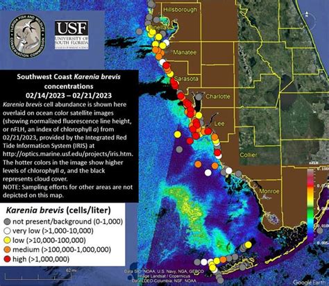 Red tide advisory issued for Sarasota and Manatee counties