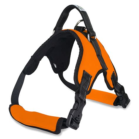 Best Escape Proof Dog Harness (2019 Top 4 Picks & Reviews)