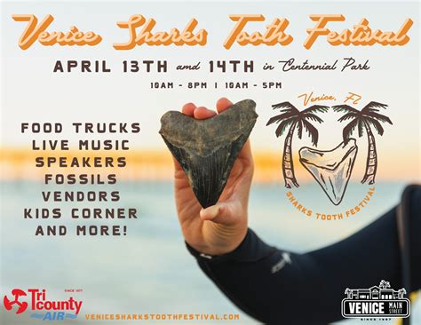 Venice Florida Shark Tooth Festival 2024 - Tabbi Faustina