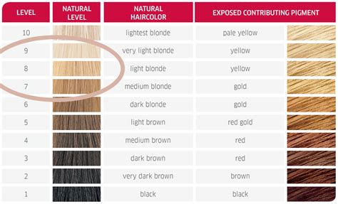 Wella 7A Medium Smokey Ash Blonde - Results and Before & After – Tint ...