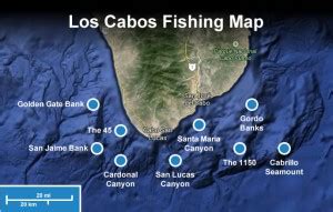 Fishing in Cabo San Lucas: All You Need to Know - FishingBooker Blog