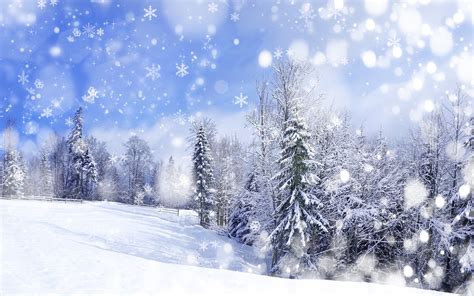 Falling Snow Animated Wallpaper (57+ images)