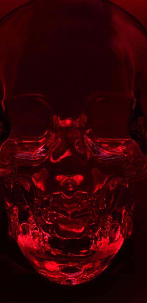 Wallpaper ID: 315305 / Dark Skull, 1440x2960 Phone Wallpaper