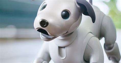 Sony revives adorable robot canine companion