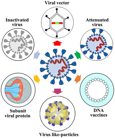 Understanding COVID-19 Candidate Vaccines Through the Lens of Other Vaccines on the Market ...